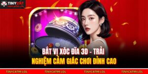 Bắt vị xóc đĩa 3D