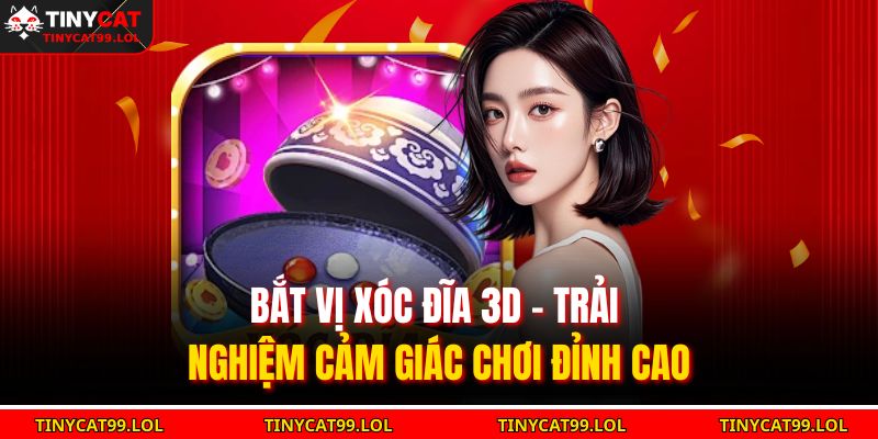 Bắt vị xóc đĩa 3D