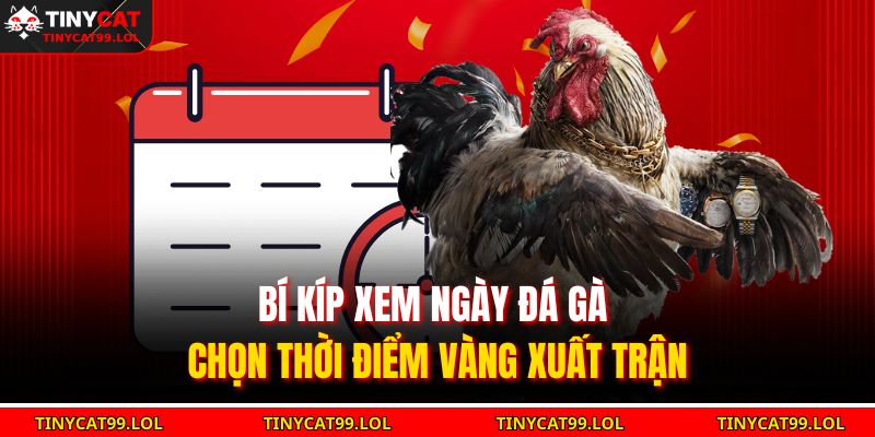 Bí kíp xem ngày đá gà