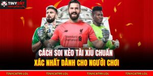 Cách Soi Kèo Tài Xỉu