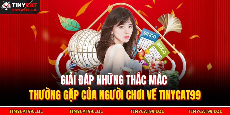 Giải đáp những thắc mắc thường gặp của người chơi về TINYCAT99