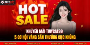 Khuyến mãi TINYCAT99