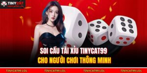 Soi cầu tài xỉu TINYCAT99