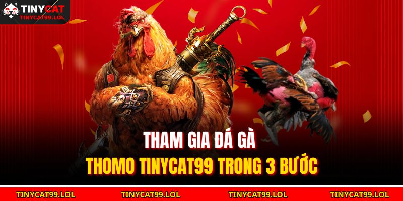 Tham gia đá gà Thomo TINYCAT99 trong 3 bước