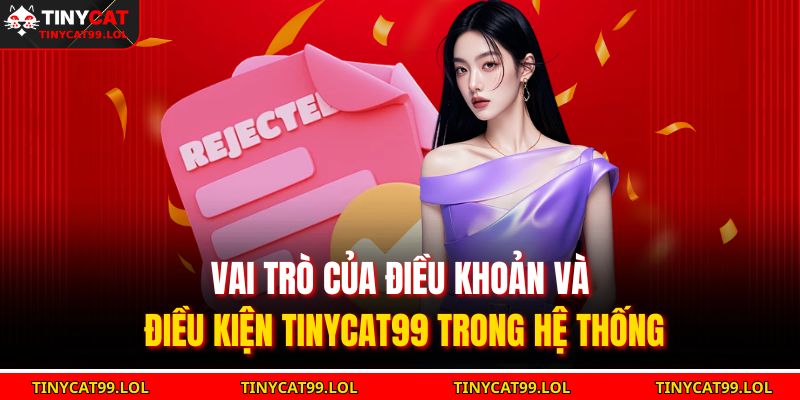 Vai trò của điều khoản và điều kiện TINYCAT99 trong hệ thống